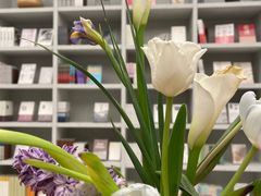 -二酉书店TOYOU BOOKS