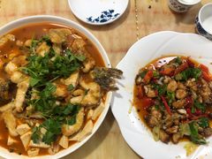 -煲来饱去冷水鱼