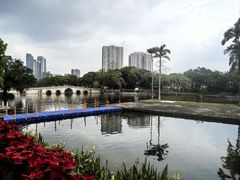 -荔湾湖公园