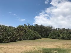 -鹅銮鼻公园