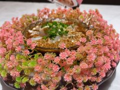 -五马集·海鲜·温州大牌档(黑金冠五马街十字路口店)