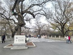 -北陵公园