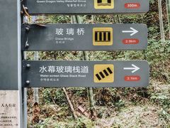 -九龙江国家森林公园