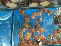 水产区-雅逸居海鲜小厨