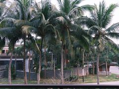 -石梅湾艾美度假酒店