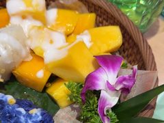 -mango tree芒果树(万象城店)