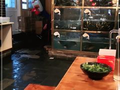-三道苗苗鱼·美蛙黄辣丁(八里店)