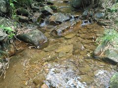 -会稽山峡洞漂流-上青古道
