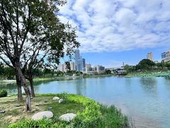 -后襄河公园