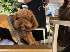 -Mark&Mars Restaurant