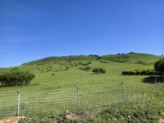 -塞罕坝国家级自然保护区