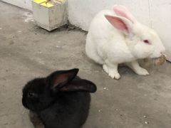 -筑艺咖啡