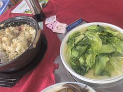 -麻奢鸽农庄·梦里水乡
