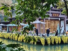 -杭州植物园