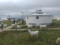 -呼伦贝尔大草原巴尔虎蒙古部落民俗旅游度假景区