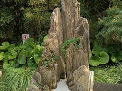 -上海醉白池公园