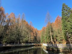 -山王坪喀斯特国家生态公园