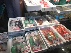 -黑潮市场