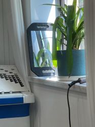 点击看大图 -Garden花園造型