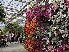 -南宫五洲植物乐园