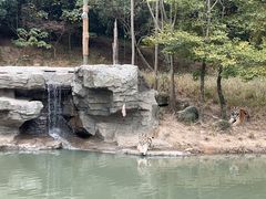 -宁波野生动物园