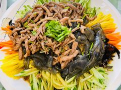 五彩拉皮-华圆美食