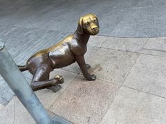 -中粮·祥云小镇