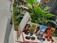 -宝岛眼镜·星创视光中心·林德伯格·奢品集合(北京世纪金源店)