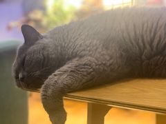 -Rabbit Cafe私房西餐甜点咖啡(栖霞路店)