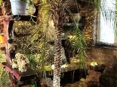 -大匠工房古船木艺术餐厅·猪肚鸡专门店(长白仙岛店)