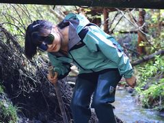 -峡谷浮石林景区