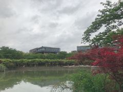 -嘉定紫藤园