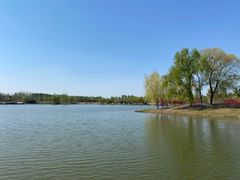 -东郊湿地公园