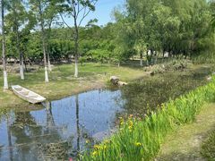 -长田漾湿地公园