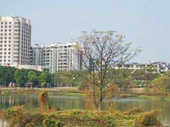 -广东花都湖国家湿地公园