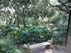 android_upload_pic-月亮湾公园