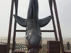 -刘家湾赶海园