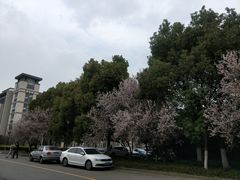 -江南大学(蠡湖校区)
