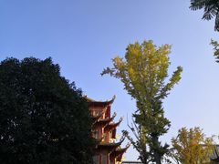 -龙潭水乡