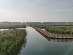 -白洋淀景区