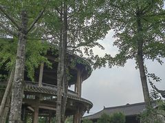 -平乐古镇