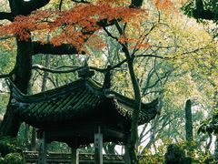 -天一阁博物院