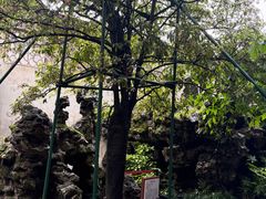 -东山雕花楼