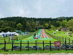 -武陵山森林公园