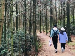 -大罗山风景区
