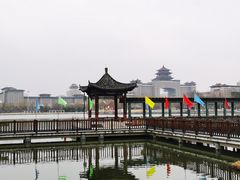 -莲花池公园