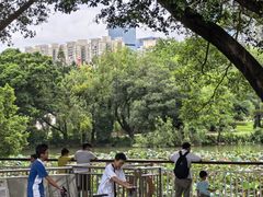 -人民公园(罗湖区)