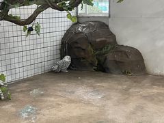 -海合安武汉极地海洋公园