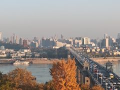 -循礼门鲜花花市(武汉循礼门店)