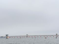 -碧海金沙